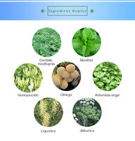 Thé instantané détoxifiant pour les poumons, à base de plantes (Lungwort, Oregano, Feuille de plantain, Scutellaria), en sachet pur, pour fumeurs, marque privée, vente en gros OEM