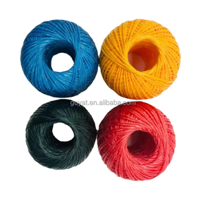 100Mの長さの束ねられたポリプロピレンプラスチックロープ紐、家庭園芸、農業包装、結束、結束、および家庭工芸用 - Product Image 2