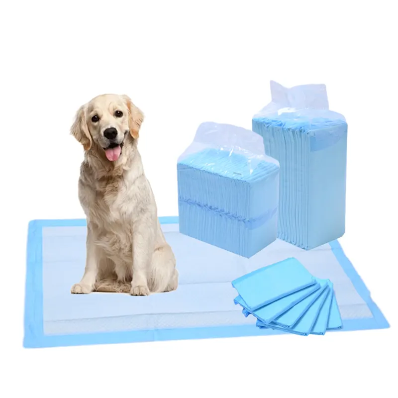 Fast Delivery Disposable Blue Pet Training Pads With Highly Absorbent Design