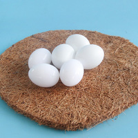 Œufs de pigeon factices réalistes en plastique blanc de haute qualité, prix bas, œufs de pigeon en plastique pour l'éclosion