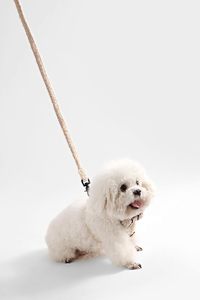 Fabricants de harnais pour animaux de compagnie, vente en gros, harnais pour chien en sherpa sur mesure, harnais pour chien d'hiver - Product Image 6