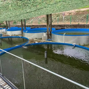 Équipement d'élevage de poissons en eau circulante Ras pour ferme de crevettes Tilapia, vente en gros d'usine, réservoir d'élevage de poissons - Product Image 1