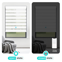 Stores enrouleurs motorisés Zebra intelligents de qualité supérieure, double couche occultante, moteur silencieux, contrôle Alexa WiFi Google