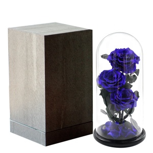Forever Rose de gran tamaño en cúpula de cristal <span class=keywords><strong>para</strong></span> regalos de cumpleaños perfectos <span class=keywords><strong>para</strong></span> mujeres y regalo del Día DE LA Madre - Product Image 5