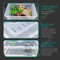 Terrarium portable pour reptiles, boîte d'élevage en plastique pour crabes ermites et petites tortues