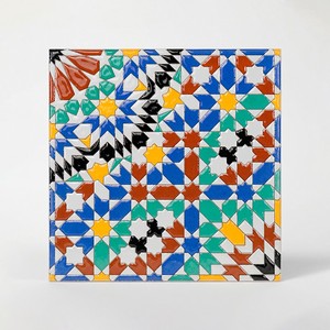 Piastrella Rosette per Patio 20x20 Cm Lucida con Bordi Rettificati - Product Image 1