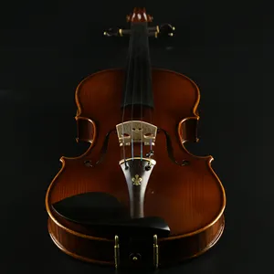 Venda quente barato chinês elétrico 4/4 violino profissional personalizado