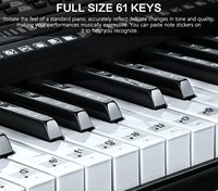 Wholesale 61-Key Portable LCD Display Double Pulley USB Electronic Organ Electronic Keyboard