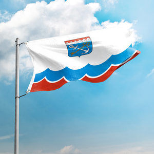 Drapeaux personnalisés pour les activités de l'entreprise, bannières publicitaires, drapeau de l'oblast de Léningrad, drapeaux de 3x5 pieds, sujets fédéraux, Russie - Product Image 1