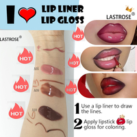 Kit Cadeau Végan 2 en 1 Rouge à Lèvres et Crayon à Lèvres Imperméable Anti-transfert Longue Tenue Haute Pigmentation Gloss Brillant
