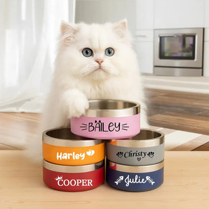 Insulated Stainless Steel Smart Double-Layer <strong>Large</strong> Capacity Anti-Slip Anti-Knock Rounded Pet Food <strong>Bowl</strong> for Cats <strong>Dogs</strong> Small - Product Image 2