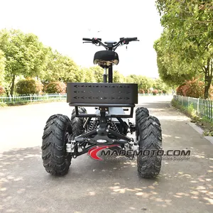 수륙 양용 및 장애인 쿼드 자전거 8000W 4 휠러 전기 ATV 4X4