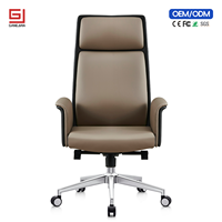Chaise de bureau ergonomique professionnelle avec soutien lombaire et fonction pivotante