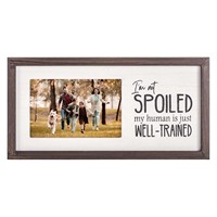 Je ne suis pas gâté pattes de chien en bois mur Art signes chien de compagnie propriétaire cadeaux rustique bois signe bois rustique cadres rustiques chambre décor