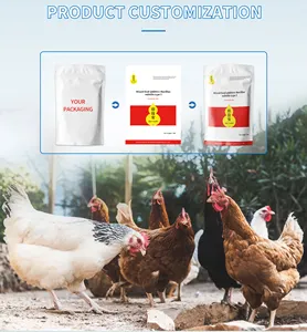 L'uso in polvere di probiotici per l'additivo per mangimi per pollame riduce l'influenza di bestiame e pollame