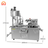 Machine d'emballage sous blister PVC haute fréquence XMMACH DPP-115 pour confiture de miel, sauce tomate, crème de cacao, beurre de cacahuète, emballage automatique