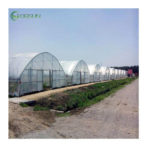 Tunnel economico serra di plastica per la serra di verdure economica Tunnel serra - Product Image 2