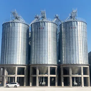 Hot sell 1000T 3000T 5000T 10000T silos for grains Rice Grain Storage Silo Farm Feed silo Price