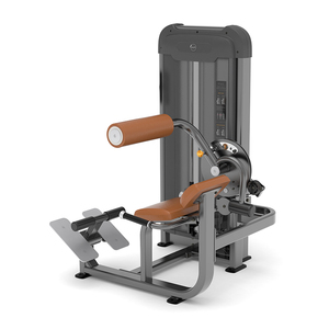 Anyfit PS06 Macchina per Esercizi Commerciale in Acciaio, Sedia Romana per Estensione Schiena con Pila di Pesi da 66kg in Vendita - Product Image 6