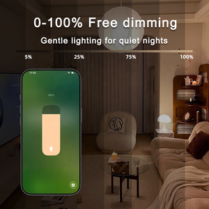 Bilihondim Matter Smart <span class=keywords><strong>Digital</strong></span> Box Dimmer 1 canal 200W DMX512 sans fil portée 30m contrôlé par Google Assistant en plastique facile à utiliser - Product Image 3