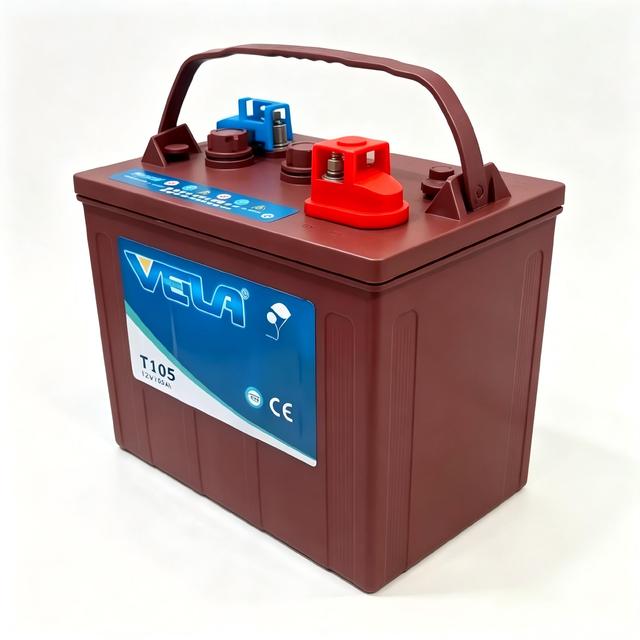 Deep Cycle T105 6V 225Ah Heavy Duty Golf Cart Battery for Tour Car Scissor Lift