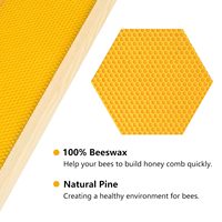 Mittelgroße Super-Box Holz-Bienenstockrahmen mit Bienenwachs-getauchten Kunststoff-Grundlagen für die Imkerei (Unmontiert)