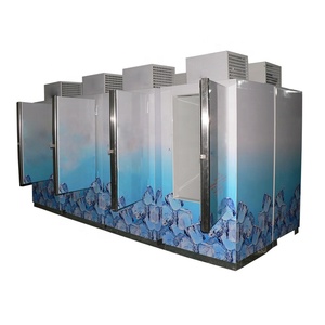Congelatore verticale per blocchi di ghiaccio, porta singola, porta solida, raffreddamento diretto, congelatore commerciale per la conservazione di bevande all'aperto - Product Image 4