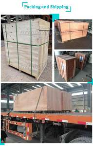 Máquina Moldeadora de Tabletas de Carbón Vegetal y Briquetadora con Motor - Product Image 2