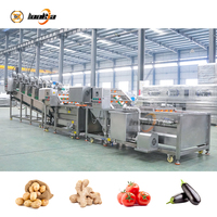 800-1200kg/uur Groente- en fruitwasserlijn Aardbei Appel Citroen Avocado Passievrucht Wasmachine Groentewaslijn