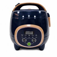 Cuisinière à riz électrique intelligente mini portable avec cuve intérieure antiadhésive, capacité de 1,8 L, puissance de 350 W, fonction vapeur