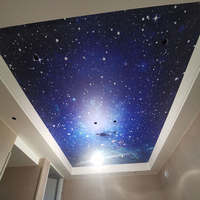 Plafond acoustique suspendu Étoile Impression numérique Plafond en polyester Panneau acoustique en fibre PET Panneau acoustique pour mur et plafond