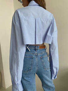 Blus Wanita Lengan Panjang Model Potongan Asimetris Kasual, Atasan Pendek Crop, Koleksi Musim Semi Gugur Terbaru, Diskon Besar - Product Image 6