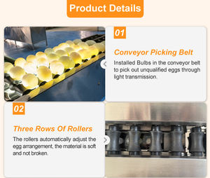 Machine de classement des œufs industrielle, machine de tri des œufs de volaille par poids, machine de classement automatique des œufs, trieuse - Product Image 4