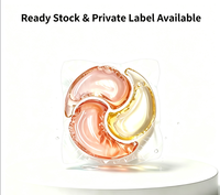 Capsules de lessive en dosettes en stock, certifiées ISO, pour odeurs de moisissure, séchage à l'ombre, personnalisation OEM ODM