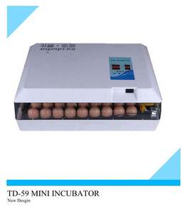 Incubadora de huevos automática de alta calidad, máquina para incubar huevos en Argel, oferta de 60 huevos en Amazon - Product Image 6