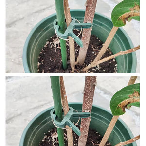 Clips de fixation pour plantes en plastique, supports de branches de plantes, clips de jardin pour maintenir ou redresser les plantes sur un treillis - Product Image 6