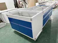 Mobilier de laboratoire Equipement de banc Table de laboratoire de biologie Banc de travail de laboratoire pour l'école universitaire de chimie