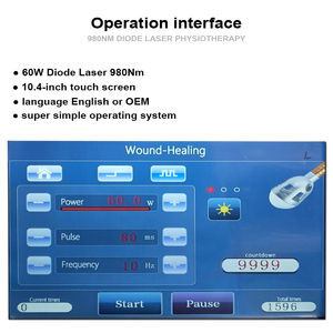 Laser hewan peliharaan 980nm fisioterapi Laser dioda untuk terapi hewan anjing kucing kuda mesin penghilang nyeri - Product Image 3