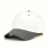 Casquette de baseball en coton respirante et imperméable à motif léopard, avec logo brodé 5 panneaux, nouvelle conception personnalisée de haute qualité pour unisexe