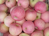 Pomme fuji chinoise douce rouge juteuse, vente en gros, prix à l'exportation de la chine