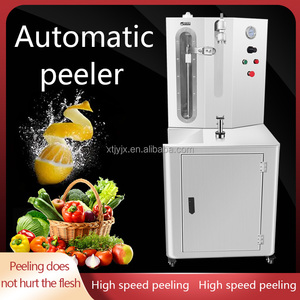 เครื่องปอกผักและผลไม้หลายชนิด เครื่องปอกสับปะรด เครื่องปอกฟักทอง - Product Image 5