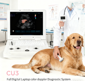 Dizüstü Bilgisayar Ultrason Tarayıcı Veteriner Aleti kedi Ultrason Cihazı - Product Image 1