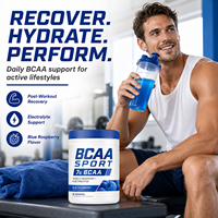 BCAA haute puissance, formule 2:1:1 avec vitamine B6, magnésium et sodium pour la réparation musculaire post-entraînement chez l'adulte, en poudre