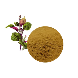 Высококачественный натуральный экстракт периллы пищевой травяной порошок, оптовая продажа с фабрики, вакуумная упаковка в барабаны - Product Image 2