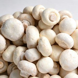 Tranches de champignons surgelées IQF, pré-nettoyées, pour mélange de viande de burger, certifiées IFS, vente en gros - Product Image 3