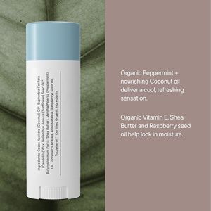 Bálsamo Labial Herbal de Menta OEM/ODM, Calmante, Protección Solar, Vegano, Natural, Orgánico, Cuidado Labial, 0.15oz, Paquete de 2 - Product Image 5