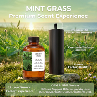 Huile parfumée vert menthe, citron, menthe marine, brise marine, musc, diffuseur d'arômes, huile essentielle, OEM ODM, machine à parfum commerciale, hôtel