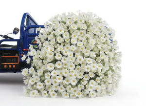 Bouquet de fleurs artificielles en soie au toucher réel, <span class=keywords><strong>iris</strong></span> japonica papillon, pour mariage, <span class=keywords><strong>d</strong></span>écoration de la maison et de fêtes - Product Image 5