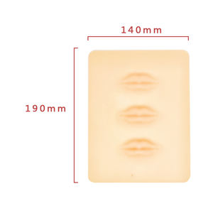 3D cara ceja tatuaje Gel de sílice ejercicio Natural labio y ojos práctica piel - Product Image 4