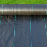 Rouleau de toile tissée anti-mauvaises herbes sur mesure, écologique et robuste, pour couverture de sol, découpe sur mesure pour usage agricole, approvisionnement direct usine